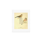 Bird Divinations: Linnet (about: almanacofbirds.org) Art Print Gallery Image 1