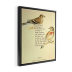 Bird Divinations: Linnet (about: almanacofbirds.org) Framed Canvas Print Gallery Image 2