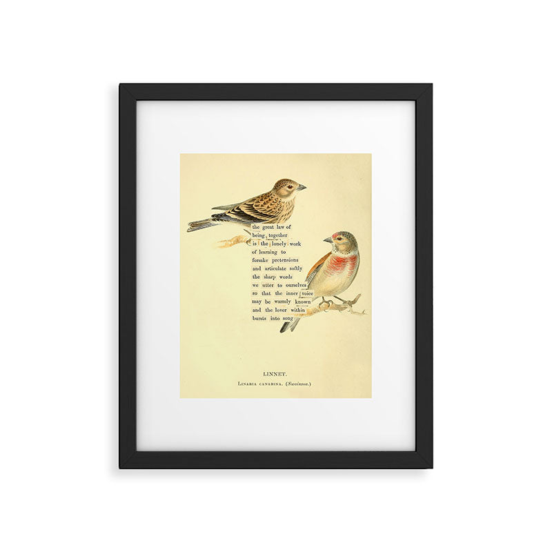 Bird Divinations: Linnet (about: almanacofbirds.org) Framed Art Print Gallery Image 4