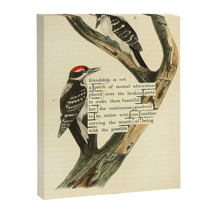 Bird Divinations: Maria's Woodpecker (about: almanacofbirds.org) Canvas Print Gallery Image 1
