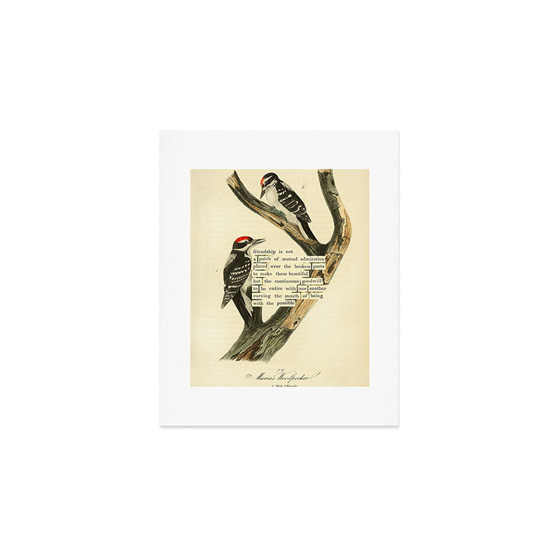 Bird Divinations: Maria's Woodpecker (about: almanacofbirds.org) Art Print Gallery Image 1