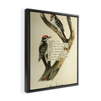 Bird Divinations: Maria's Woodpecker (about: almanacofbirds.org) Framed Canvas Print Gallery Image 2