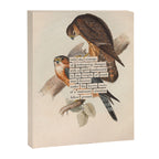 Bird Divinations: Merlin (about: almanacofbirds.org) Canvas Print Gallery Image 6