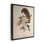 Bird Divinations: Merlin (about: almanacofbirds.org) Framed Canvas Print Gallery Image 2