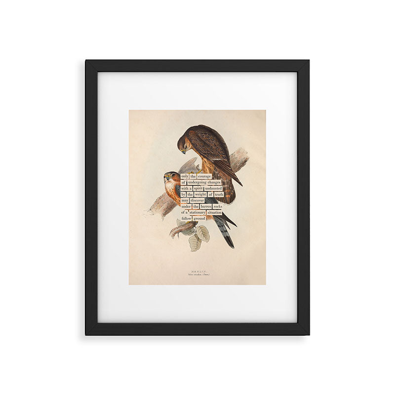 Bird Divinations: Merlin (about: almanacofbirds.org) Framed Art Print Gallery Image 5