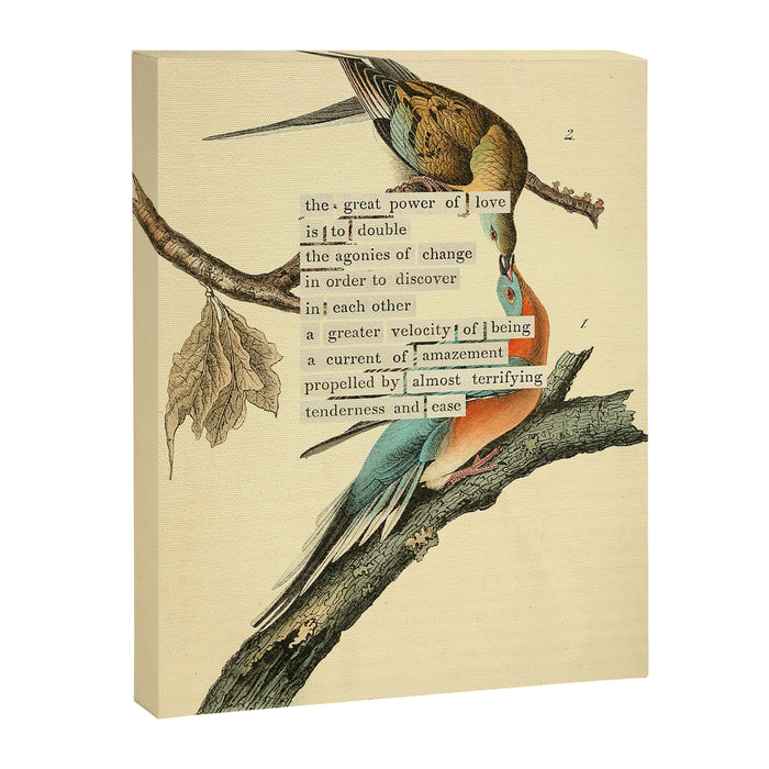 Bird Divinations: Passenger Pigeon (about: almanacofbirds.org) Canvas Print Gallery Image 1