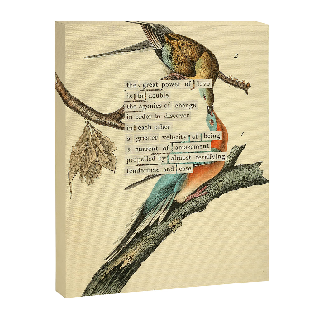 Bird Divinations: Passenger Pigeon (about: almanacofbirds.org) Canvas Print Gallery Image 6