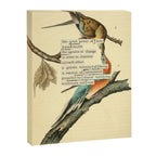 Bird Divinations: Passenger Pigeon (about: almanacofbirds.org) Canvas Print Gallery Image 6