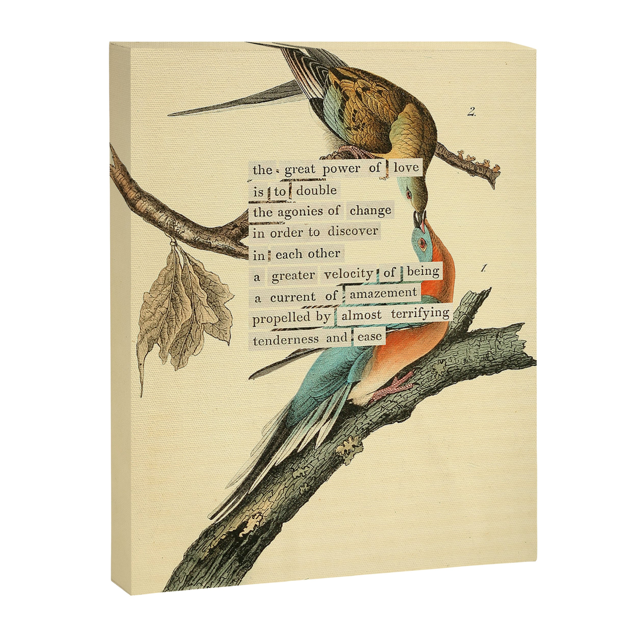 Bird Divinations: Passenger Pigeon (about: almanacofbirds.org) Canvas Print Gallery Image 6