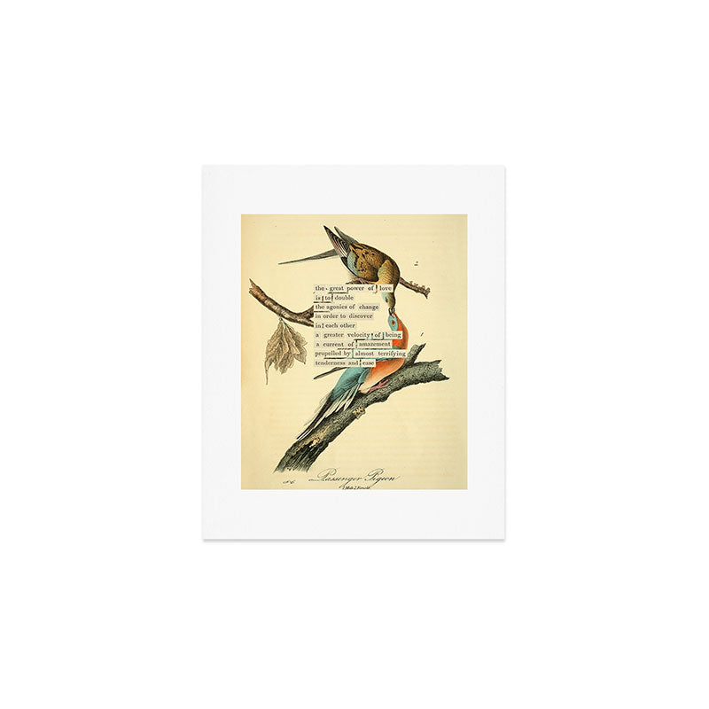 Bird Divinations: Passenger Pigeon (about: almanacofbirds.org) Art Print Gallery Image 1
