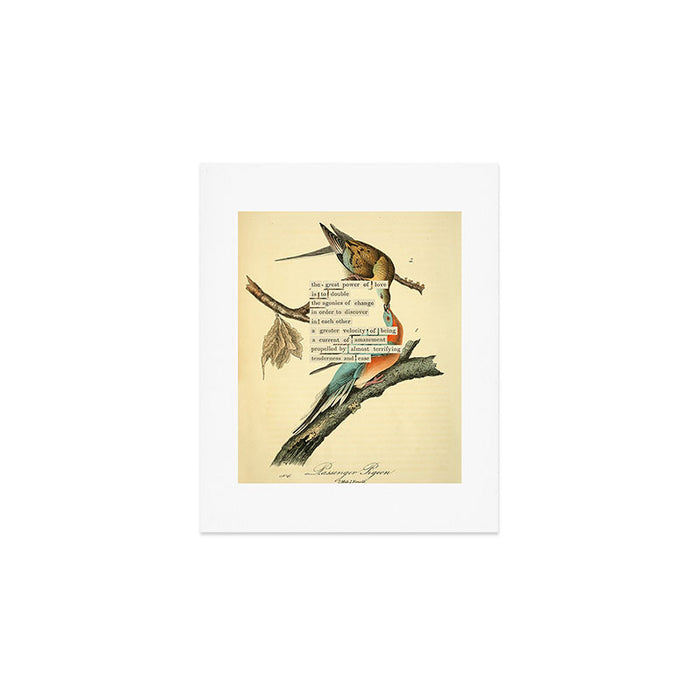 Bird Divinations: Passenger Pigeon (about: almanacofbirds.org) Art Print Gallery Image 1