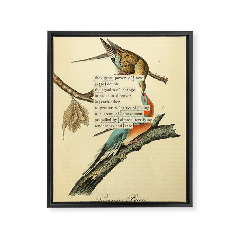 Bird Divinations: Passenger Pigeon (about: almanacofbirds.org) Framed Canvas Print Gallery Image 6