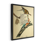 Bird Divinations: Passenger Pigeon (about: almanacofbirds.org) Framed Canvas Print Gallery Image 2