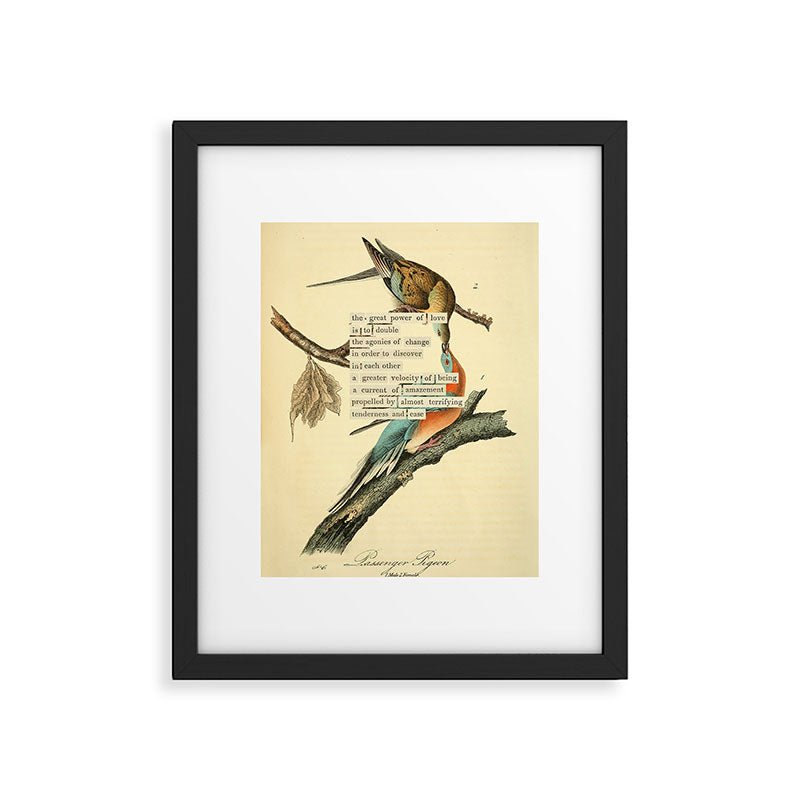 Bird Divinations: Passenger Pigeon (about: almanacofbirds.org) Framed Art Print Gallery Image 4