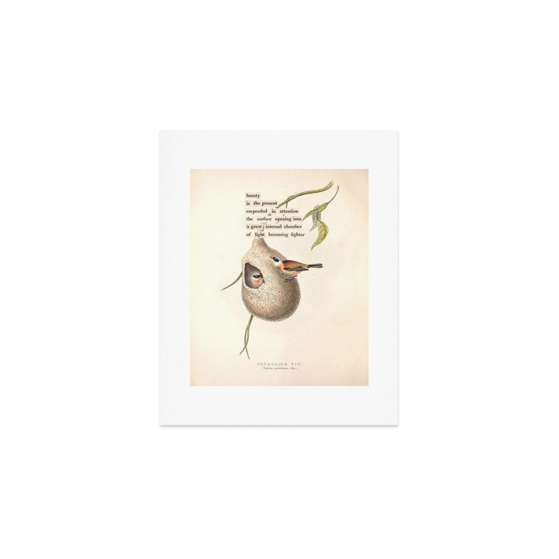 Bird Divinations: Penduline Tit (about: almanacofbirds.org) Art Print Gallery Image 1