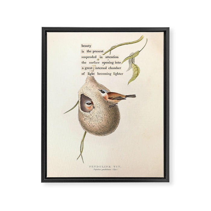 Bird Divinations: Penduline Tit (about: almanacofbirds.org) Framed Canvas Print Gallery Image 1