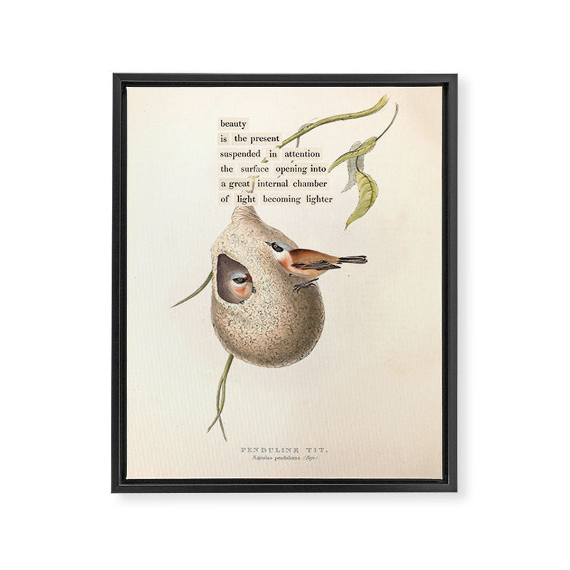 Bird Divinations: Penduline Tit (about: almanacofbirds.org) Framed Canvas Print Gallery Image 6