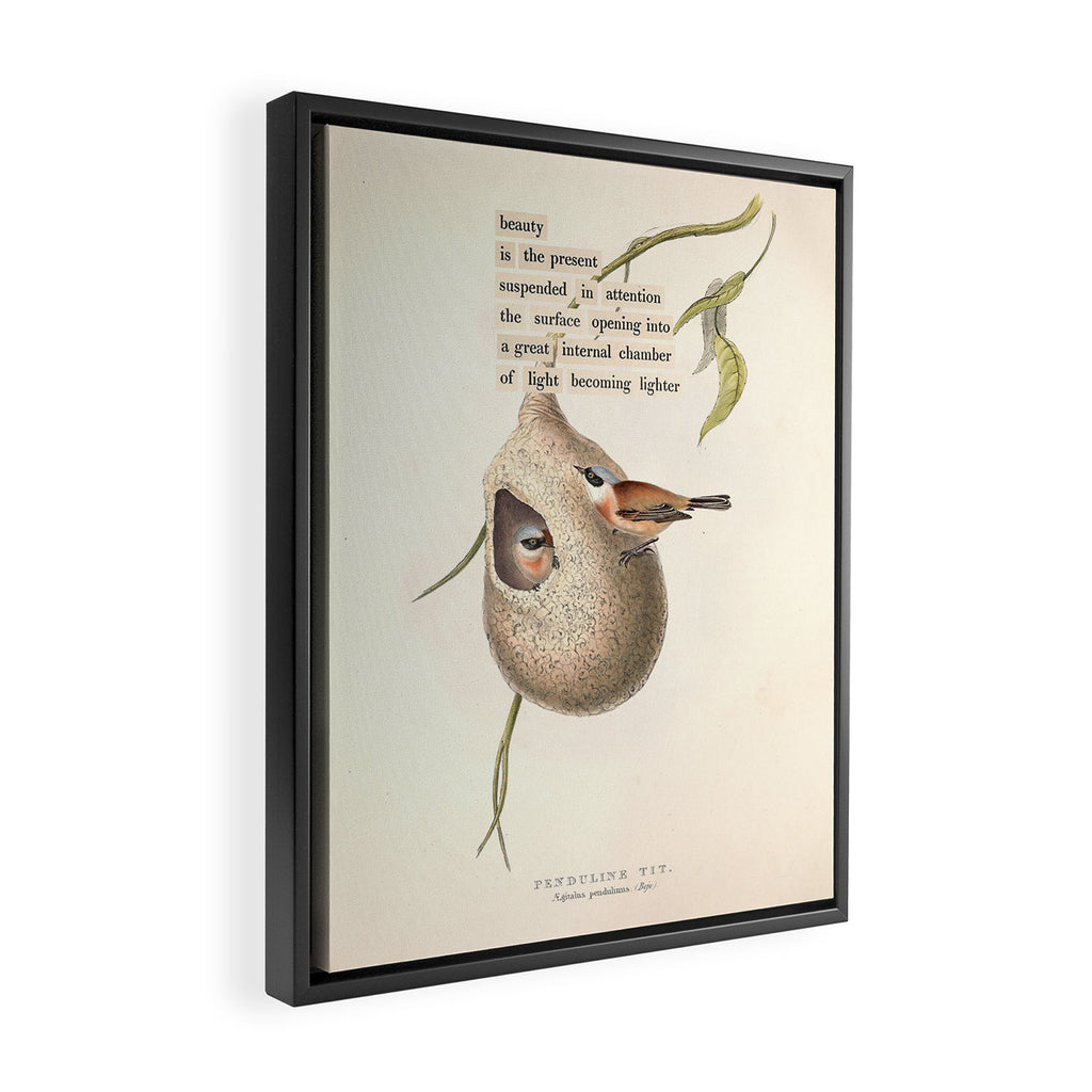 Bird Divinations: Penduline Tit (about: almanacofbirds.org) Framed Canvas Print Gallery Image 2