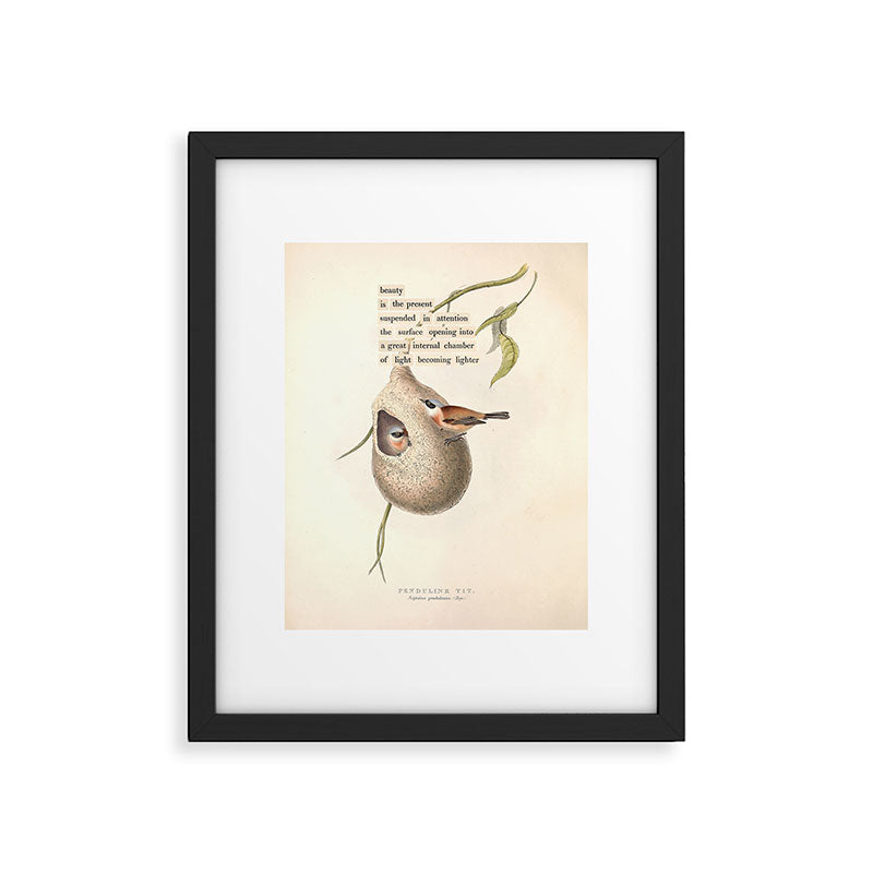 Bird Divinations: Penduline Tit (about: almanacofbirds.org) Framed Art Print Gallery Image 5