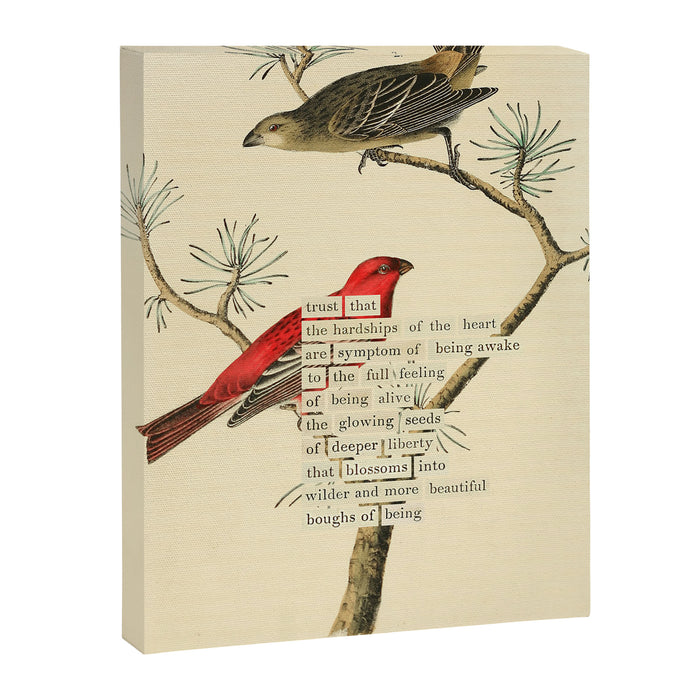 Bird Divinations: Pine Finch (about: almanacofbirds.org) Canvas Print Gallery Image 1