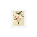 Bird Divinations: Pine Finch (about: almanacofbirds.org) Art Print Gallery Image 1