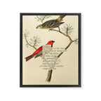 Bird Divinations: Pine Finch (about: almanacofbirds.org) Framed Canvas Print Gallery Image 6