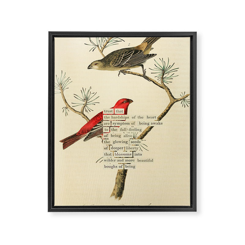Bird Divinations: Pine Finch (about: almanacofbirds.org) Framed Canvas Print Gallery Image 6