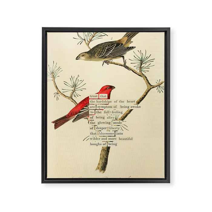Bird Divinations: Pine Finch (about: almanacofbirds.org) Framed Canvas Print Gallery Image 1