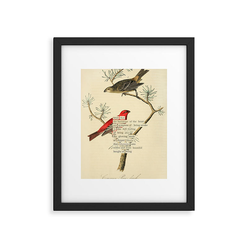 Bird Divinations: Pine Finch (about: almanacofbirds.org) Framed Art Print Gallery Image 4