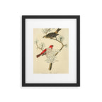 Bird Divinations: Pine Finch (about: almanacofbirds.org) Framed Art Print Gallery Image 4