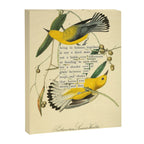 Bird Divinations: Prothonotary swamp warbler (about: almanacofbirds.org) Canvas Print Gallery Image 6
