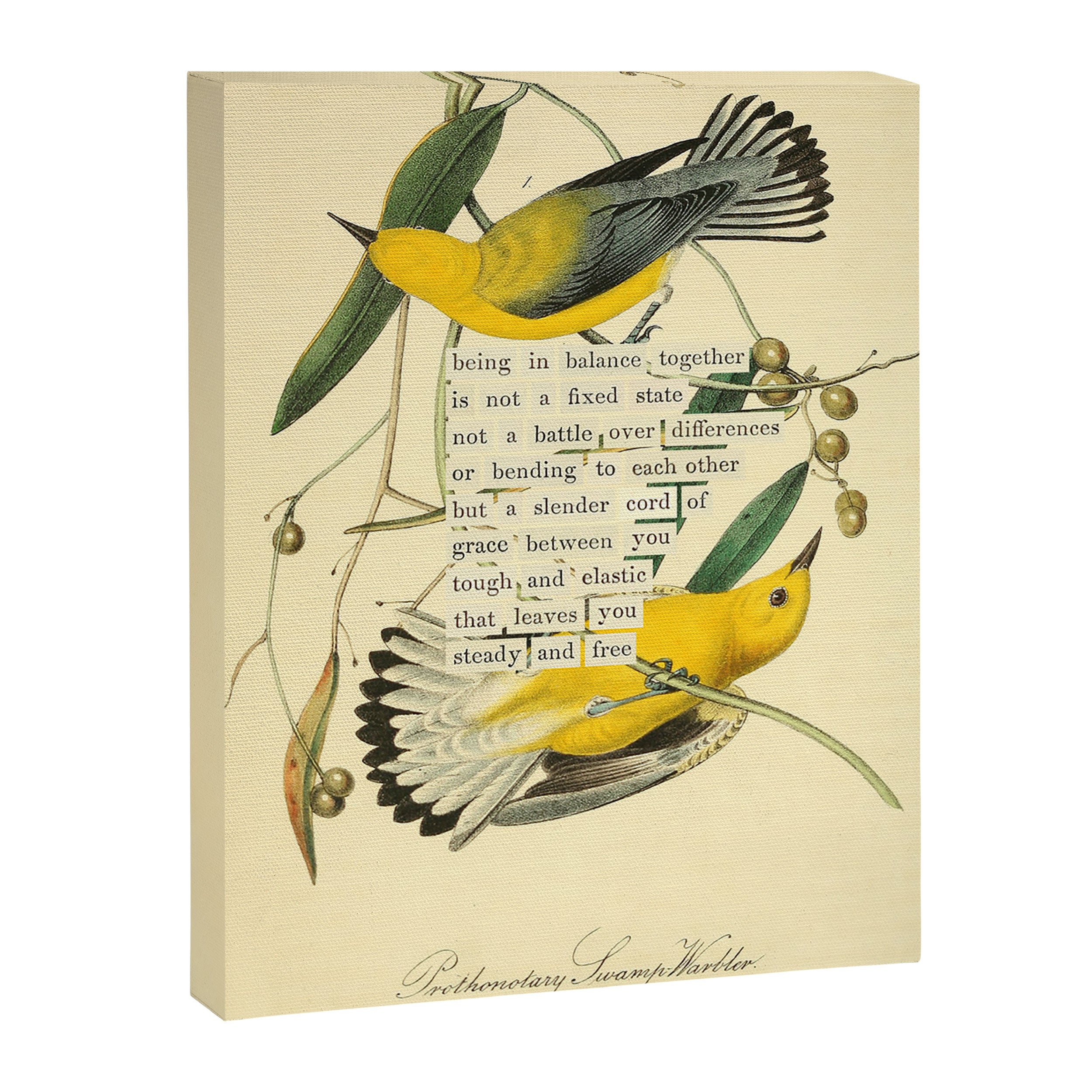 Bird Divinations: Prothonotary swamp warbler (about: almanacofbirds.org) Canvas Print Gallery Image 6