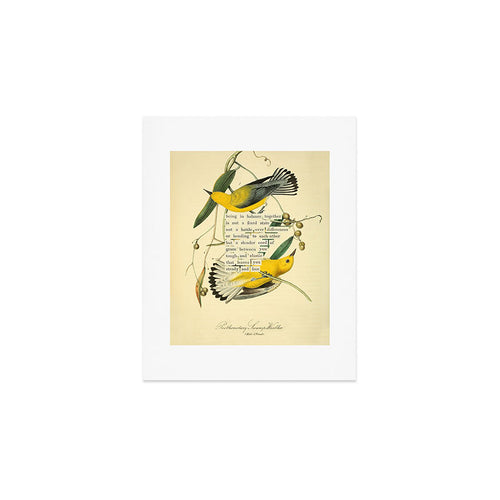 Bird Divinations: Prothonotary Swamp Warbler (About: Almanacofbirds.Org) Art Print
