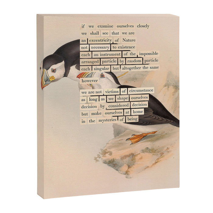Bird Divinations: Puffin (about: almanacofbirds.org) Canvas Print Gallery Image 1