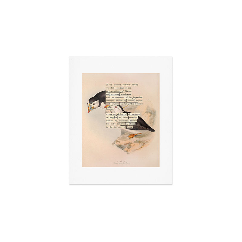 Bird Divinations: Puffin (about: almanacofbirds.org) Art Print Gallery Image 1