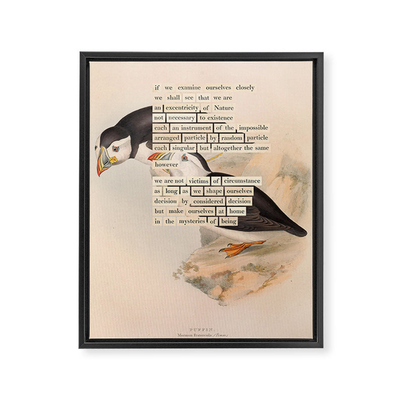 Bird Divinations: Puffin (about: almanacofbirds.org) Framed Canvas Print Gallery Image 6