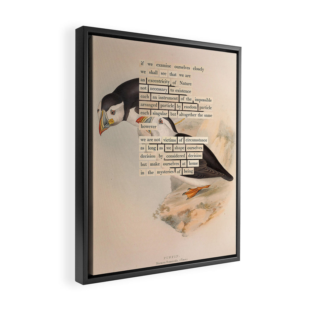 Bird Divinations: Puffin (about: almanacofbirds.org) Framed Canvas Print Gallery Image 2