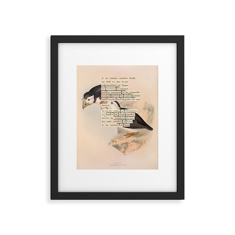 Bird Divinations: Puffin (about: almanacofbirds.org) Framed Art Print Gallery Image 4