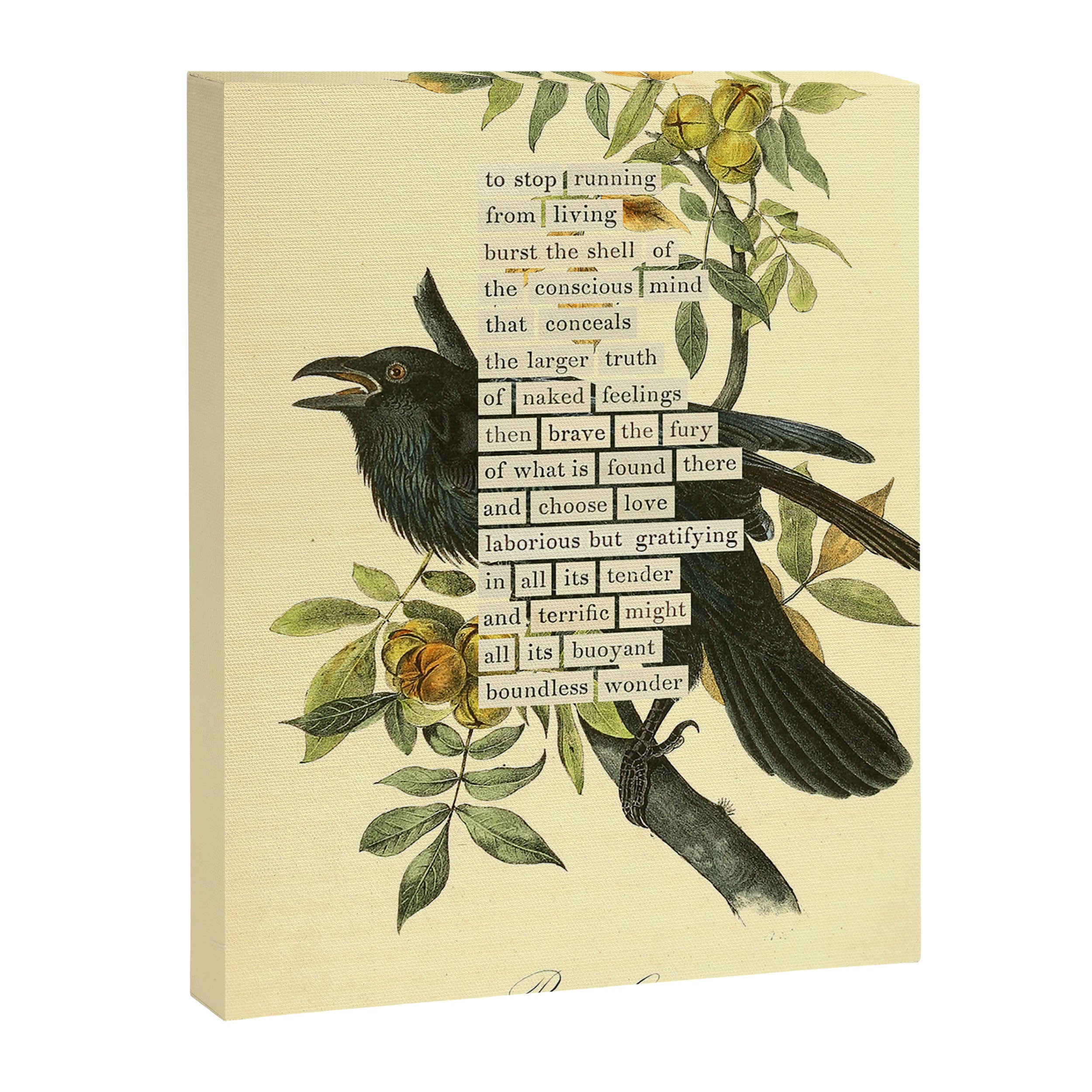 Bird Divinations: Raven (about: almanacofbirds.org) Canvas Print Gallery Image 6