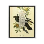 Bird Divinations: Raven (about: almanacofbirds.org) Framed Canvas Print Gallery Image 6