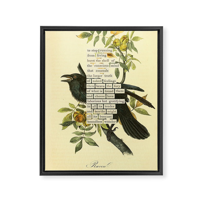 Bird Divinations: Raven (about: almanacofbirds.org) Framed Canvas Print Gallery Image 1