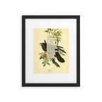 Bird Divinations: Raven (about: almanacofbirds.org) Framed Art Print Gallery Image 5