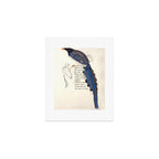 Bird Divinations: Red-Billed Blue Magpie (about: almanacofbirds.org) Art Print Gallery Image 1
