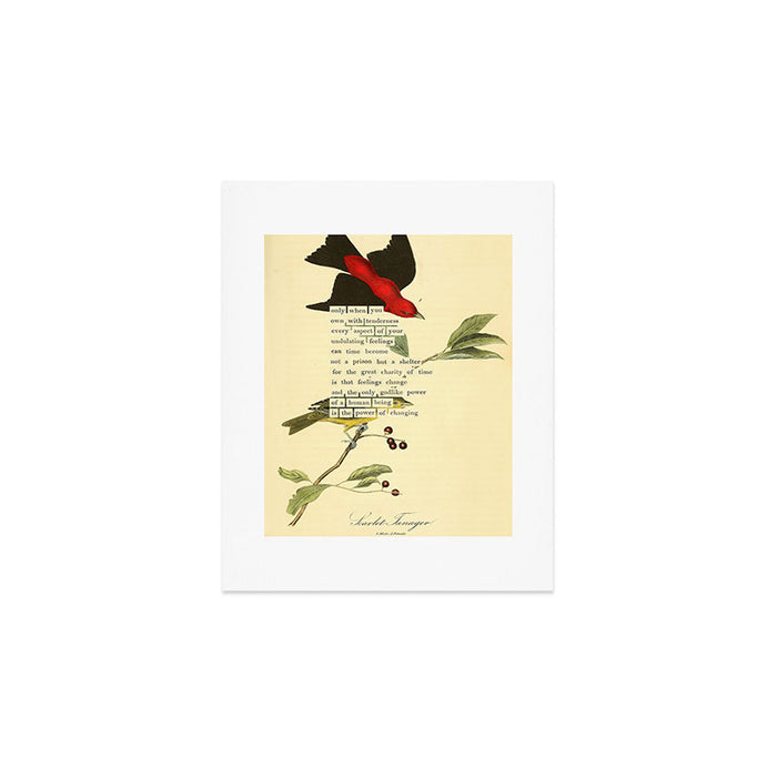Bird Divinations: Scarlet Tanager (about: almanacofbirds.org) Art Print Gallery Image 1