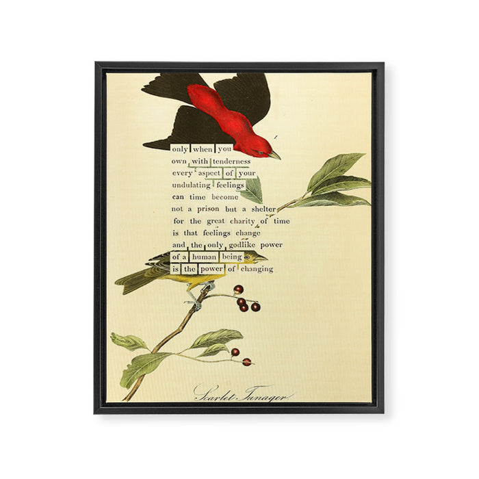 Bird Divinations: Scarlet Tanager (about: almanacofbirds.org) Framed Canvas Print Gallery Image 1