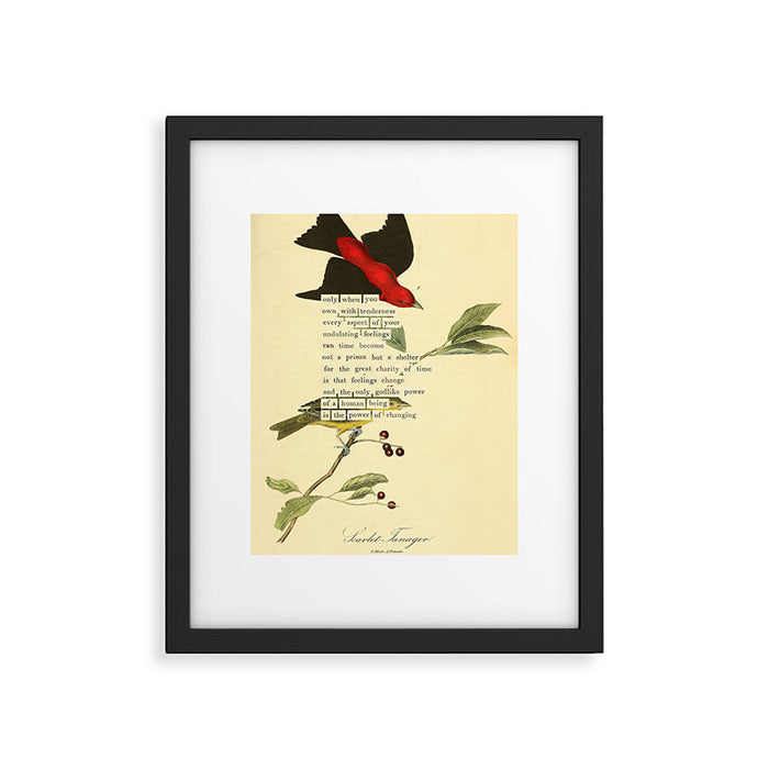 Bird Divinations: Scarlet Tanager (about: almanacofbirds.org) Framed Art Print Gallery Image 1