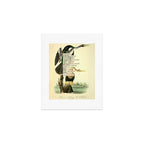 Bird Divinations: Snake Bird (about: almanacofbirds.org) Art Print Gallery Image 1