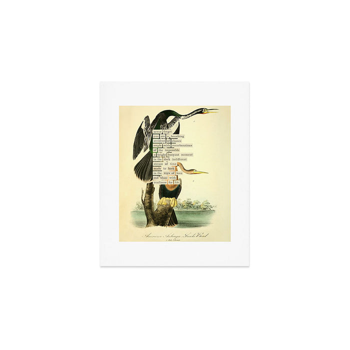 Bird Divinations: Snake Bird (about: almanacofbirds.org) Art Print Gallery Image 1
