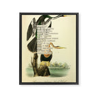 Bird Divinations: Snake Bird (about: almanacofbirds.org) Framed Canvas Print Gallery Image 6