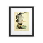 Bird Divinations: Snake Bird (about: almanacofbirds.org) Framed Art Print Gallery Image 4